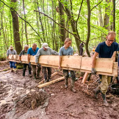 Viele Teilnehmende transportieren Holz zur Verbauung