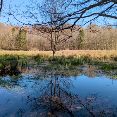 Wiese und Gewässer in Jasmund