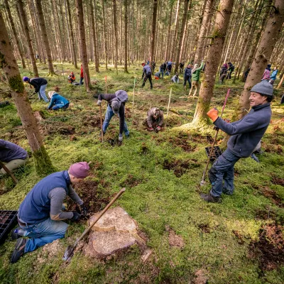 Mehrere Teilnehmende in Aktion auf der Arbeitsfläche