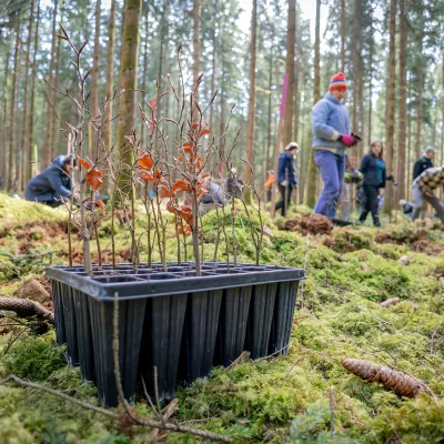Container mit Jungpflanzen; im Hintergrund viele Teilnehmende