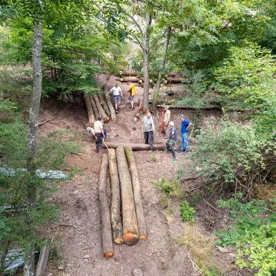 Teilnehmende am Hang mit Holzstämmen