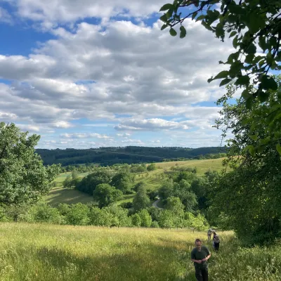 Blick auf grüne Landschaft