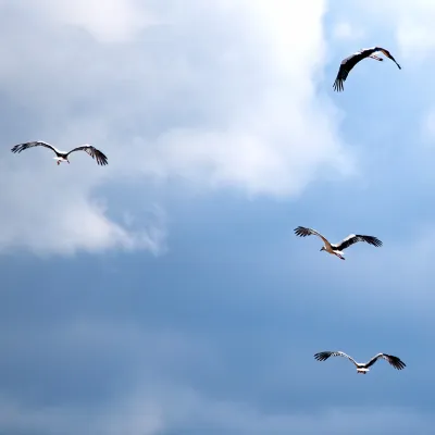 bwp_gruppenleiterinnen