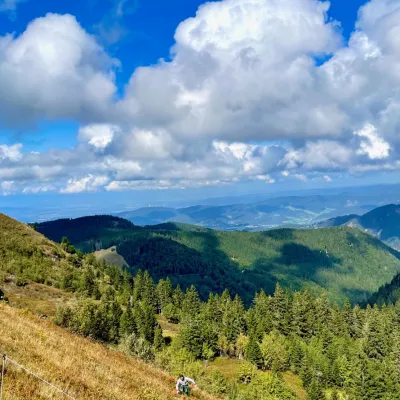 Hier fliegt auch der Zitronenzeisig (v.r.)