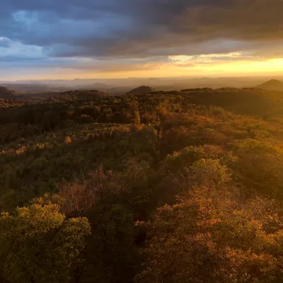 Blick über den Pfälzer Wald