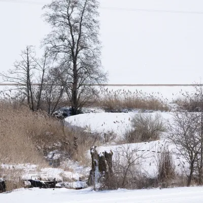 Bachlauf in schneebedeckter Landschaft