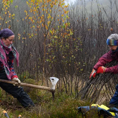 Zwei Frauen bei trübem Wetter mit der Wiedehopfhaue