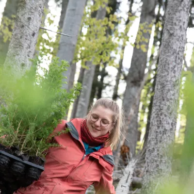 Junge Frau mit Träger voller Baumsetzlinge