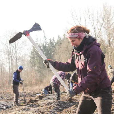 Junge Frau mit Wiedehopfhaue bei der Planzung