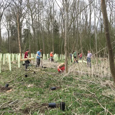 Freiwillige bei der Pflanzung