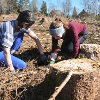 Junge Freiwillige beim Pflanzen