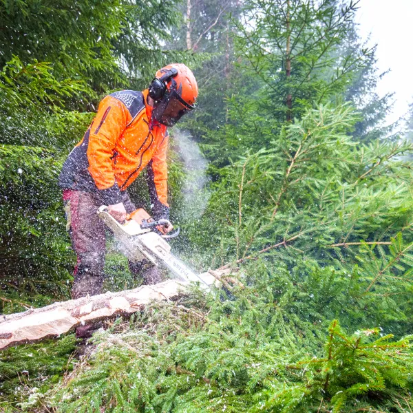 BWP_Galerie_Unterschoenau_1