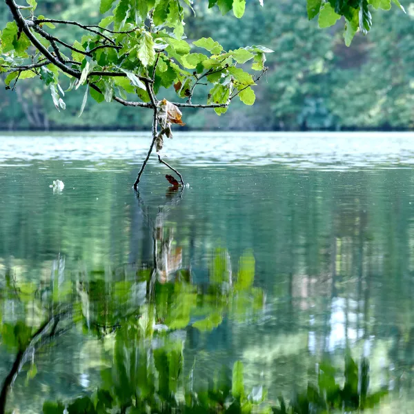 Blick auf einen See