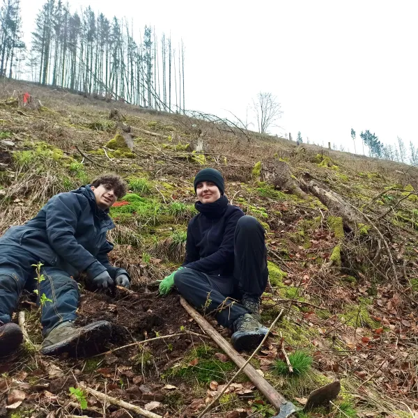 Liegendpflanzung in Sonneberg