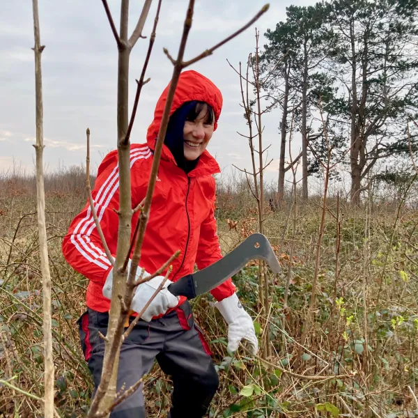 Die Brombeeren müssen weg!