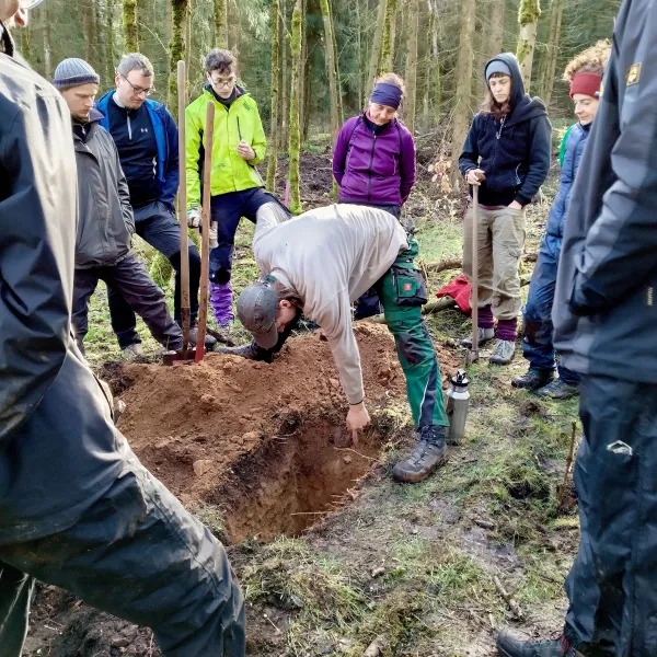 Freiwillige schauen in ein Waldbodenloch