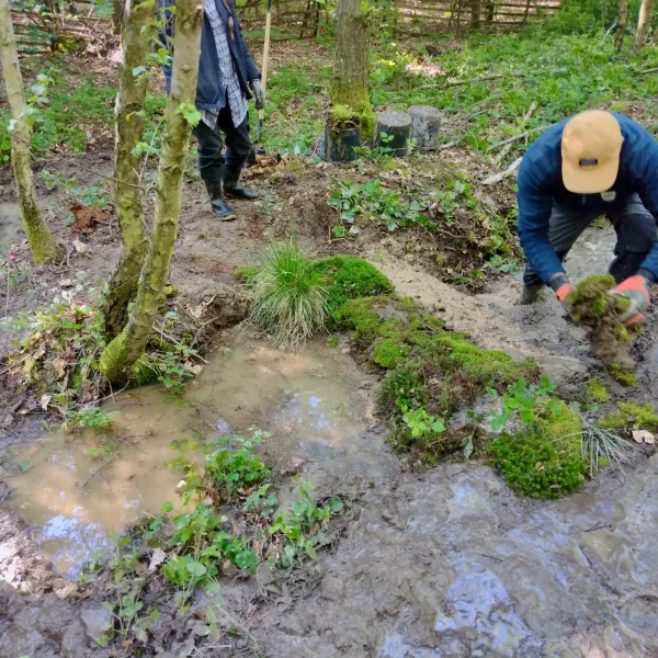 Grabenverbauung bei Wasserstand im Soonwald