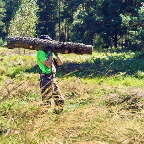 Mensch trägt Kiefernstamm auf den Schultern über eine Kahlfläche