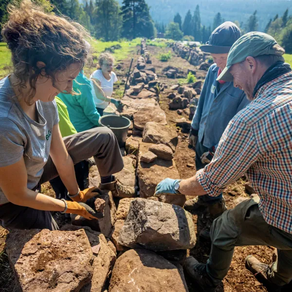 Freiwillige mit vielen Steinen beim Trockenmauerbau
