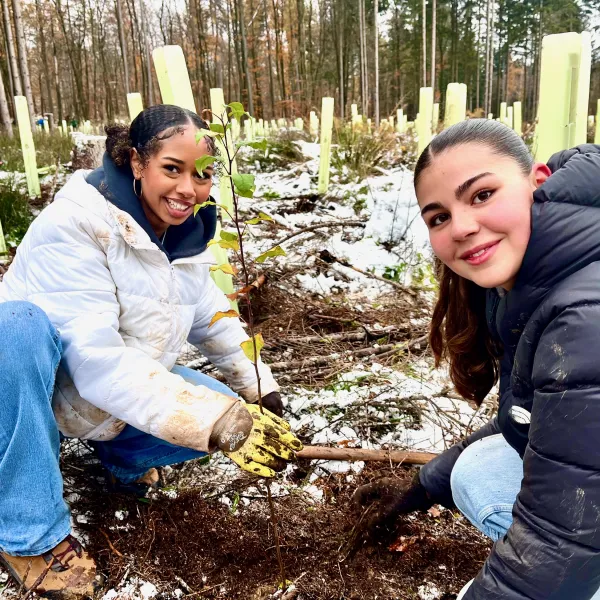 Knieende jungen Frauen beim Laubbaum pflanzen