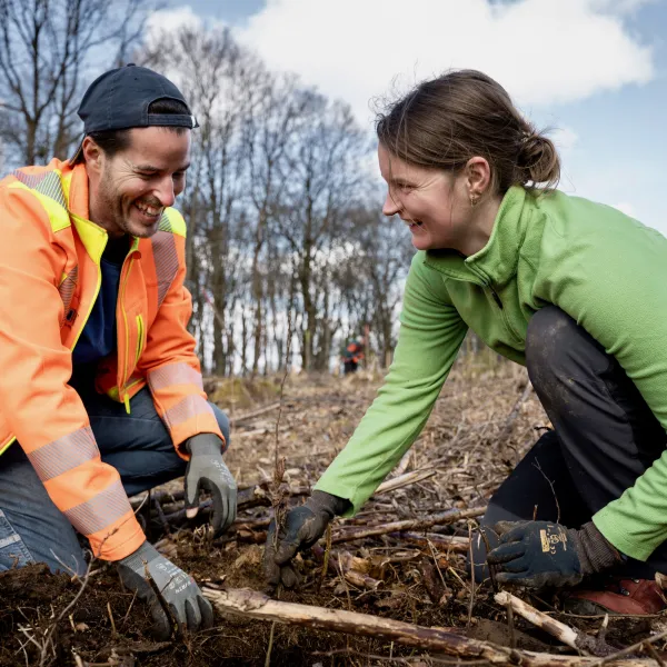 Pflanzendes und knieendes Paar vor Pflanzloch in Hemer