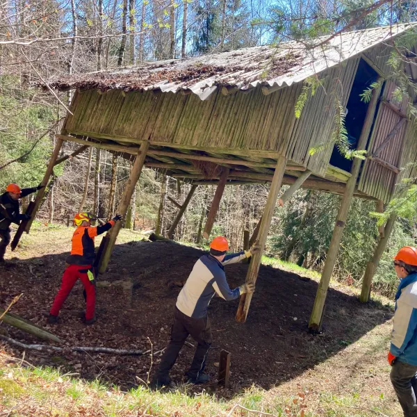 Drei Männer stürzen einen Wildfütterungsunterstand um