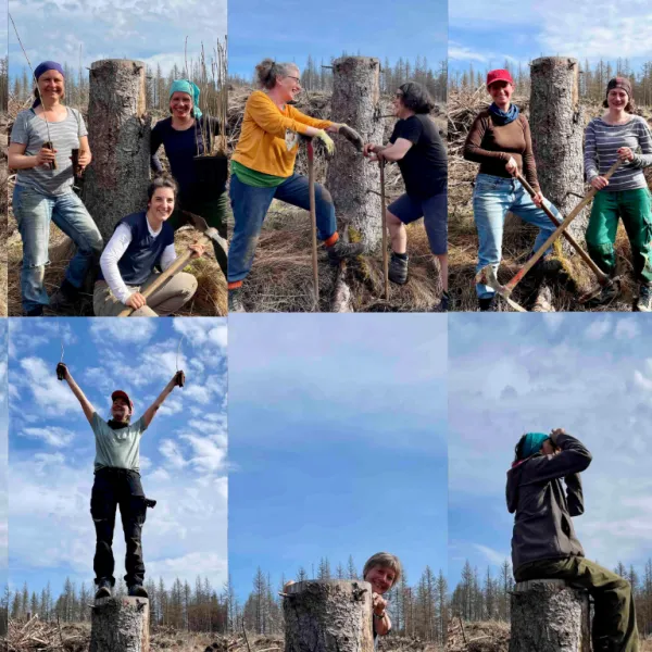 Collage mit acht Bildern von Frauen an einem Baumstumpf