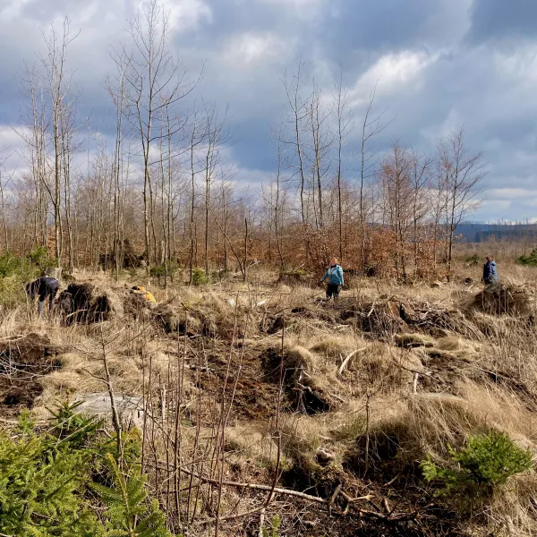 Unebener Kahlflächenboden mit offengelegtem Mineralboden
