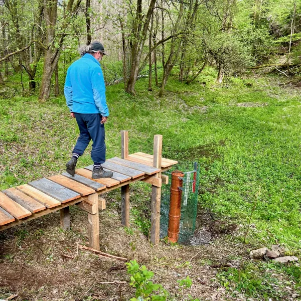 Ein Mensch läuft auf einen Steg eines Teichs ohne Wasser