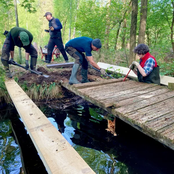 Die Trittbretter einer Brücke über einen Bach werden entfernt.