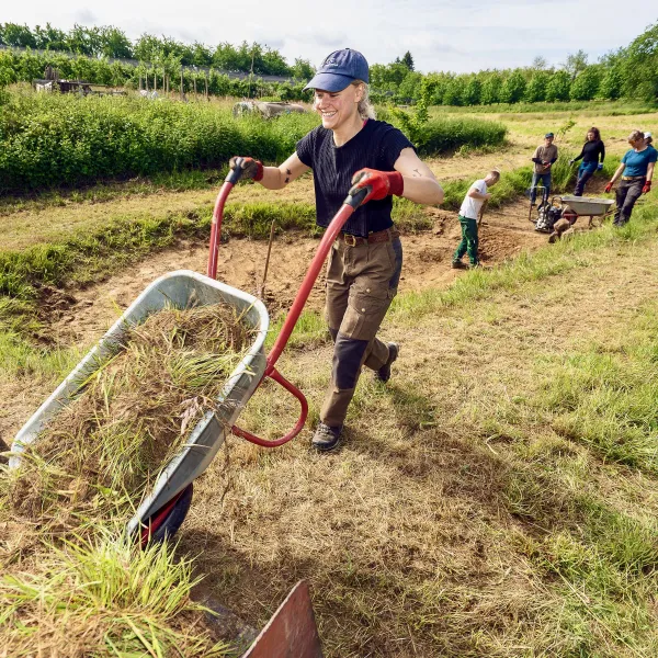 Junge Frau kippt einen Schubkarren mit Grassoden ab