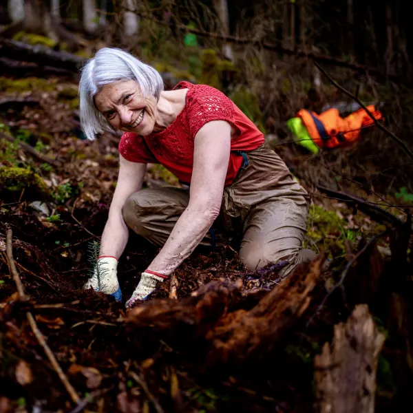 Ältere Frau pflanzt knieend einen kleinen Baum