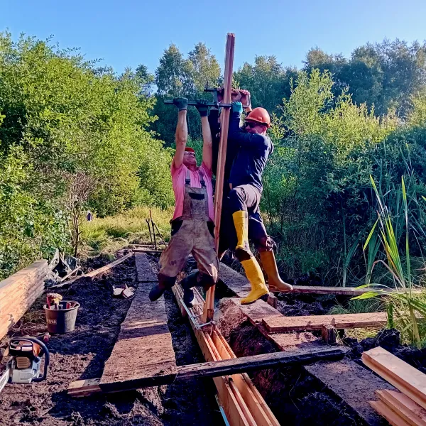 Mehrere Männer stehen auf Brettern im Moor und versuchen ein langes Brett senkrecht in den Boden zu stecken