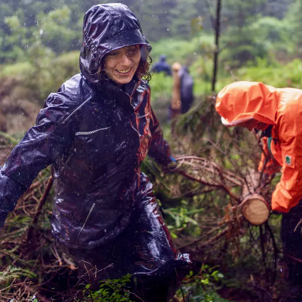 Zwei Menschen in Regenjacken ziehen in strömendem Regen an gefällten Fichten