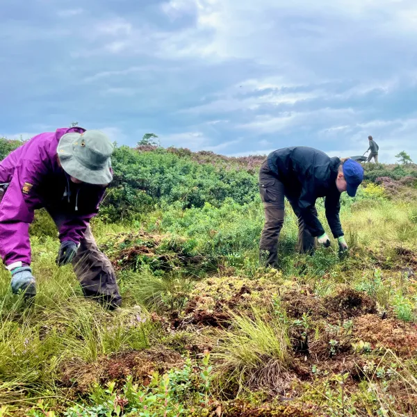 Drei Menschen stehen in gebückter Haltung in einer Landschaft mit knöchelhoher Vegetation