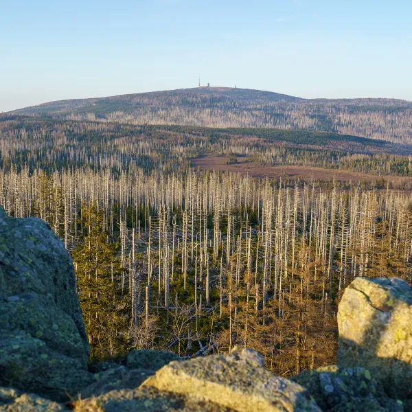 Entwaldeter Brocken im Harz