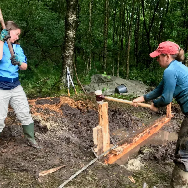 Zwei Fragen schlagen mit großen Hämmern ein Spundbrett in den Moorboden