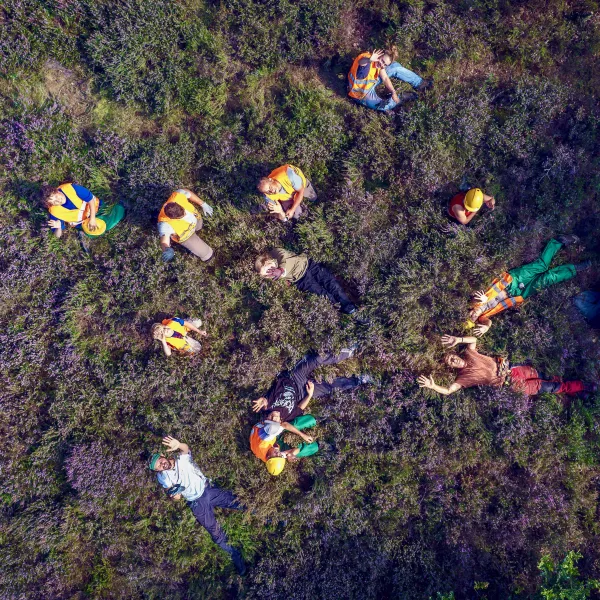 Bilck vom Himmel auf eine Gruppe Jugendlicher, die in der blühenden Heide liegt