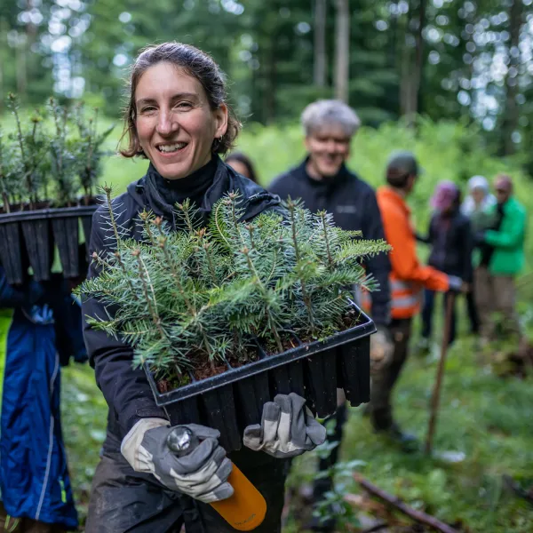 Person im Wald mit einer Ladung Weißtannensetzlingen