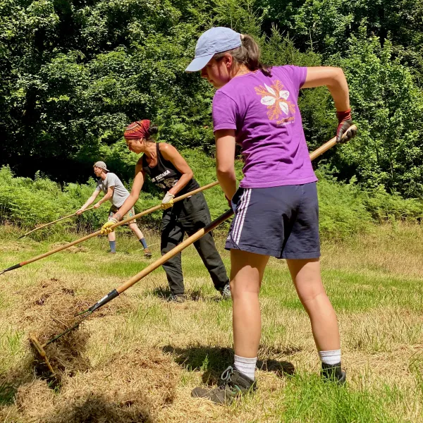 Drei Menschen stehen schräg hintereinander und rechen synchron auf einer Wiese