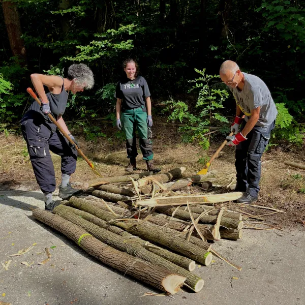 Der Menschen stehen mit Werkzeug bei auf einer Straße liegenden Stammteilen