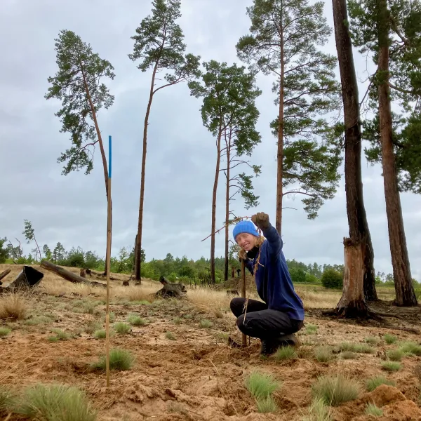 Ein Mensch in der Hocke auf einer sandigen Freifläche mit einigen Kiefern im Hintergrund