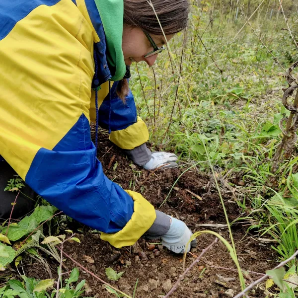 Frau mit Handschuh kniet vor einem kleinen Flecken offener Erde im Grünen