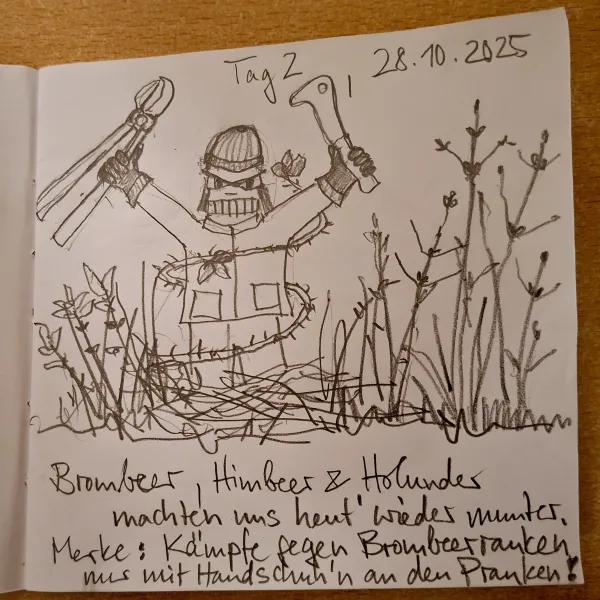 Eine Comiczeichnung zeigt einen Mensch in den Brombeeren