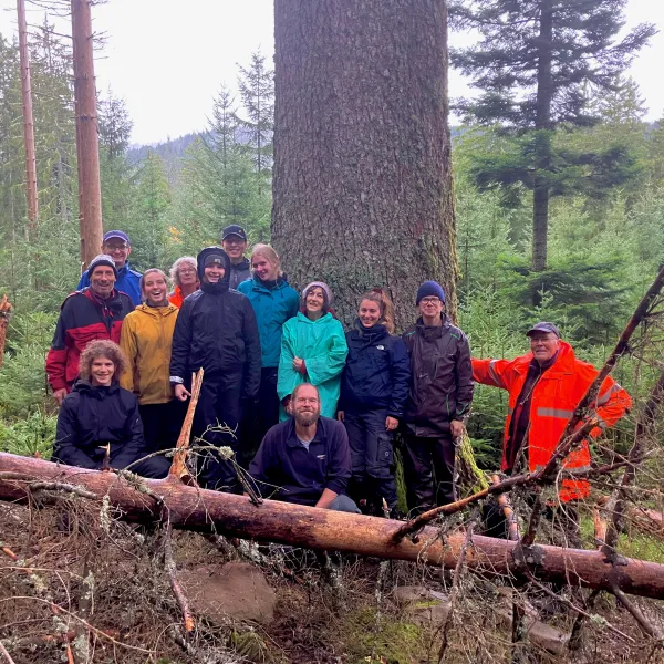 13 Menschen stehen in lichtem Wald um einen Riesenstamm