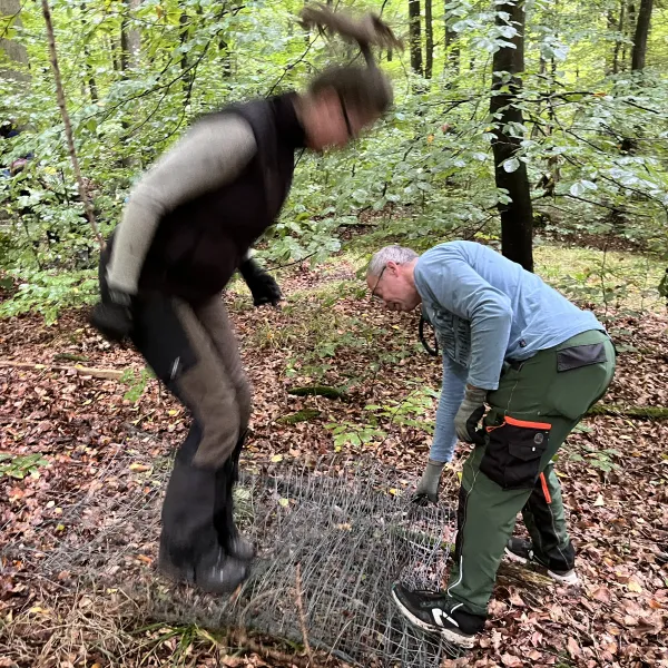 zwei Personen falten einen abgebauten Zaun
