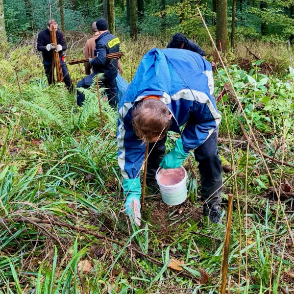 Gebückter Mensch mit weißem Eimer mir rosa Inhalt steht im Wald