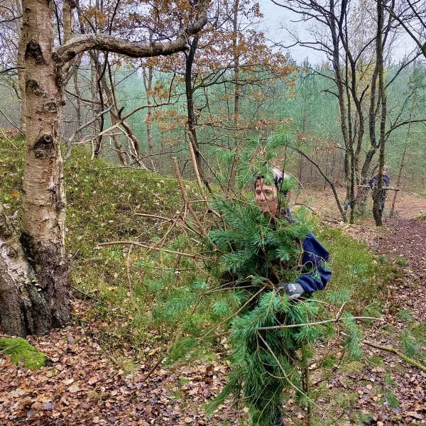 Mensch trägt Kiefernreisig vor sich her, das Gesicht ist dahinter verborgen