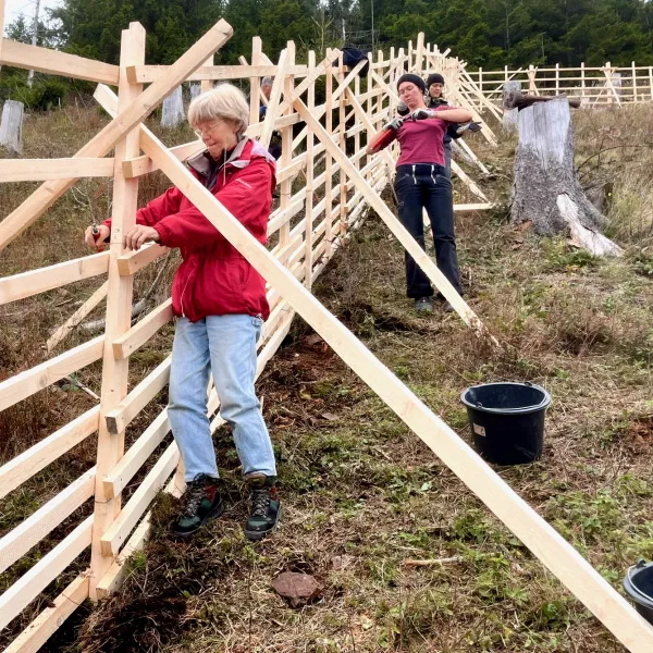Ein großen Lattenzaun, auf der einen Seite stehen Menschen, die an ihm arbeiten