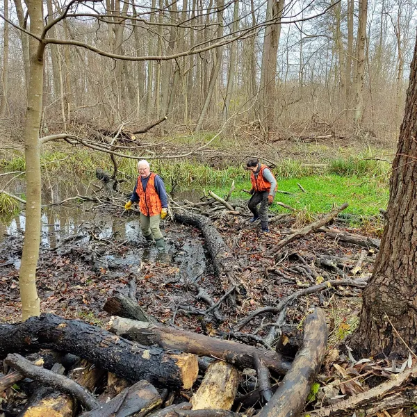 Aufgeschichtetes Astholz, dahinter zwei Frau in einem flachen Teich